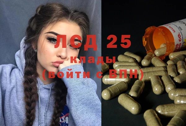 ГАЛЛЮЦИНОГЕННЫЕ ГРИБЫ Покачи