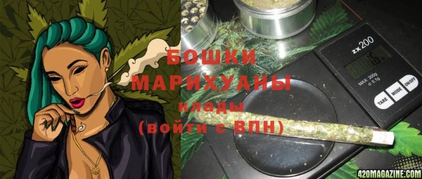 ГАЛЛЮЦИНОГЕННЫЕ ГРИБЫ Покачи