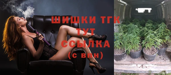 ГАЛЛЮЦИНОГЕННЫЕ ГРИБЫ Покачи