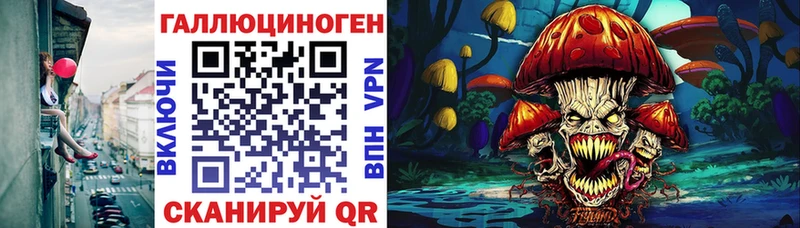 купить наркоту Ахтубинск мега онион Псилоцибиновые грибы Magic Shrooms