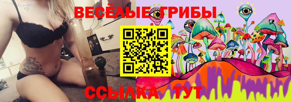 Галлюциногенные грибы MAGIC MUSHROOMS  Галлюциногенные грибы Psilocybe  Вход с VPN  Ахтубинск 
