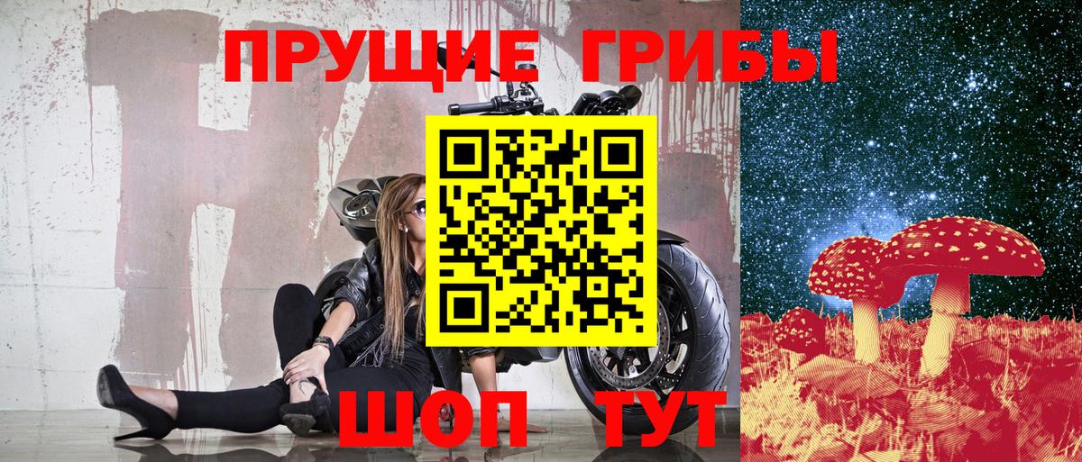 Псилоцибиновые грибы ЛСД Ахтубинск