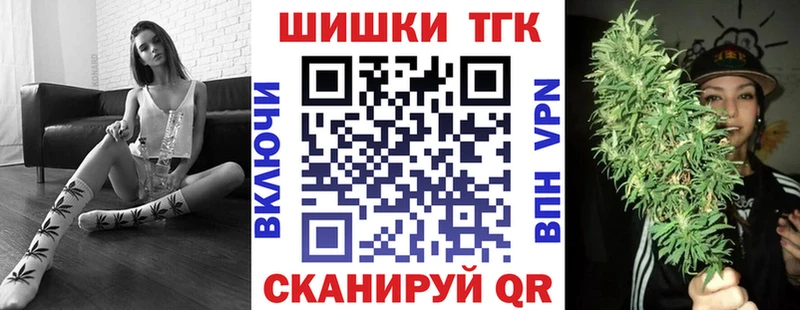 Каннабис планчик  купить наркотики цена  Ахтубинск 